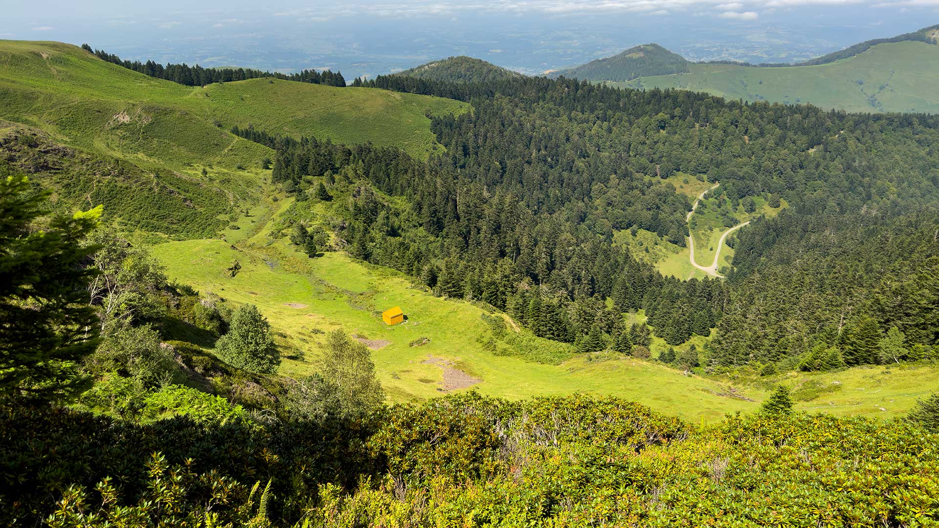 Adour Ânes Pyrénées