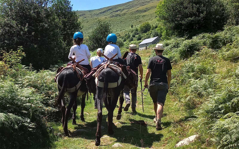 Handigîte avec Adour Ânes Pyrénées