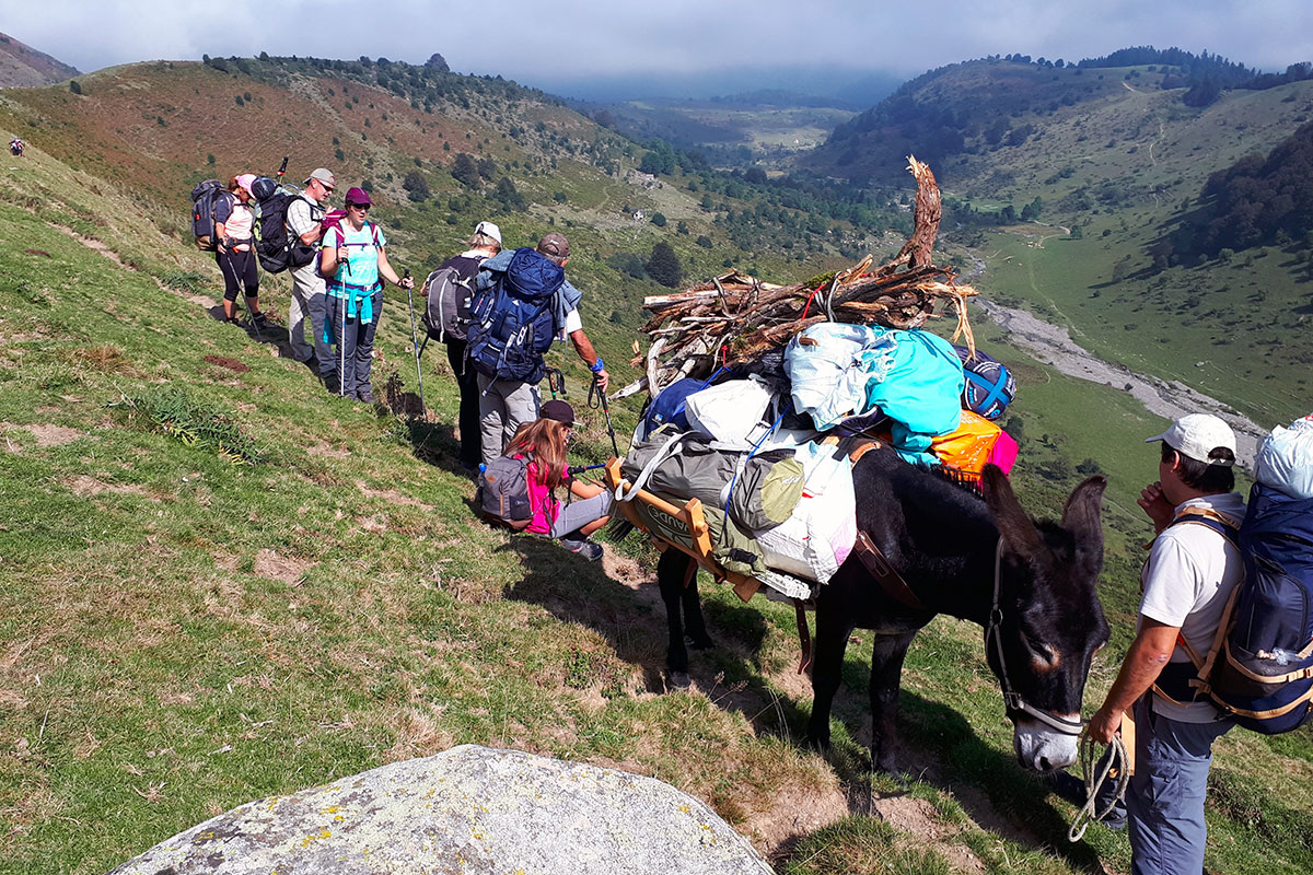 Adour-anes-pyrénées